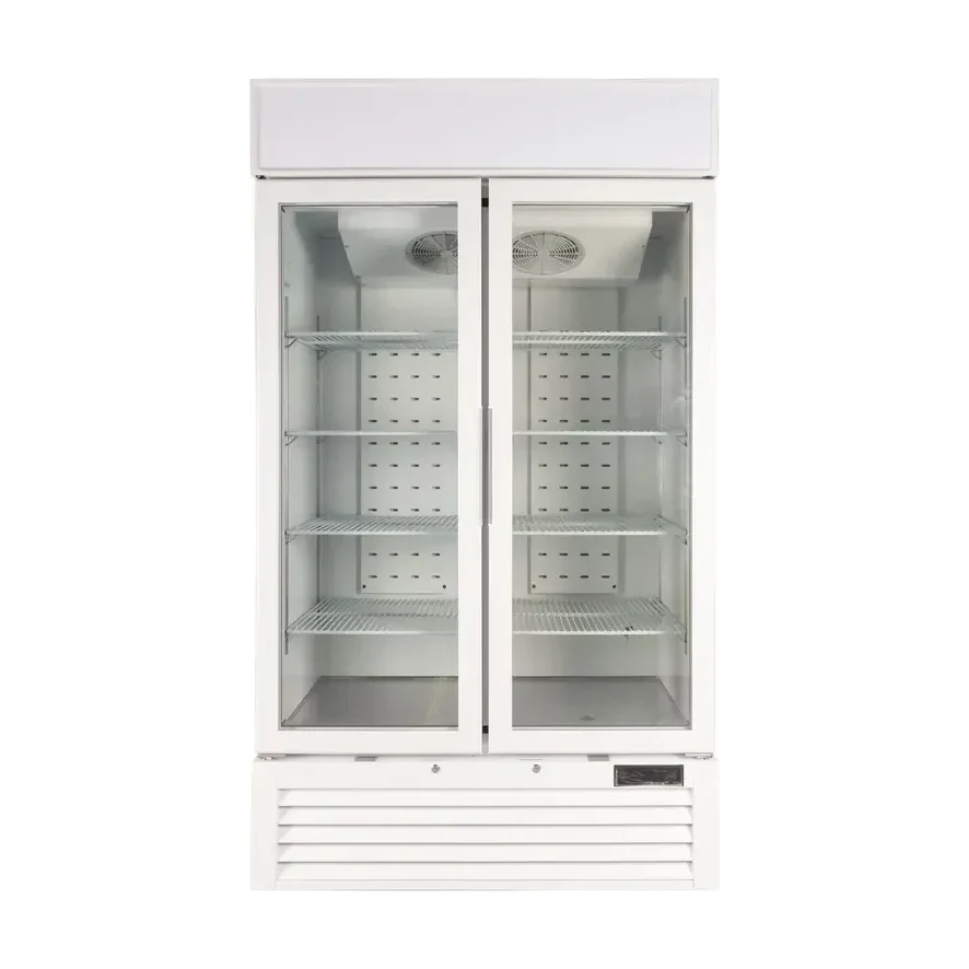 Commercial Display Freezer - Two Door Stainless Steel Glass Upright Freezer - 1000L - Bottom Unit